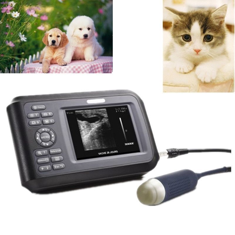 Portable Veterinary/VET Ultrasound Scanner Rectal Probe For Pig Dog Pregnancy 190891468284 DIAGNOSTIC ULTRASOUND MACHINES FOR SALE