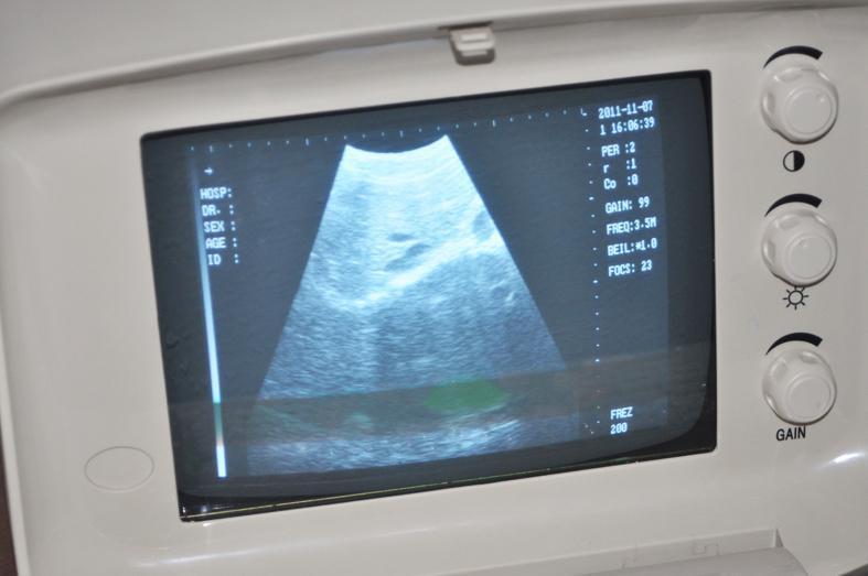 VET Veterinary Ultrasound Scanner Machine & 5.0 Mhz Rectal Probe/Sensors Ce 190891872241 DIAGNOSTIC ULTRASOUND MACHINES FOR SALE