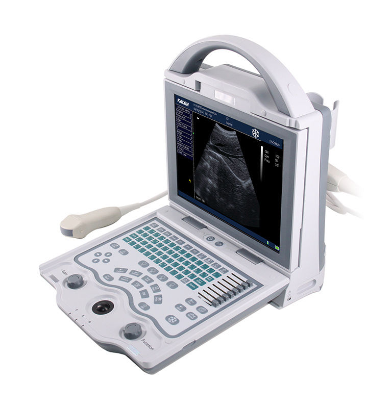 Kaixin KX5600V Portable Veterinary Ultrasound & 7.5MHz Linear Rectal Probe DIAGNOSTIC ULTRASOUND MACHINES FOR SALE