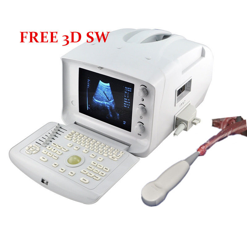 Sale Portable Type-B Ultrasonic Ultrasound Scanner Micro-Convex Probe/sensor 3D 190891653642 DIAGNOSTIC ULTRASOUND MACHINES FOR SALE
