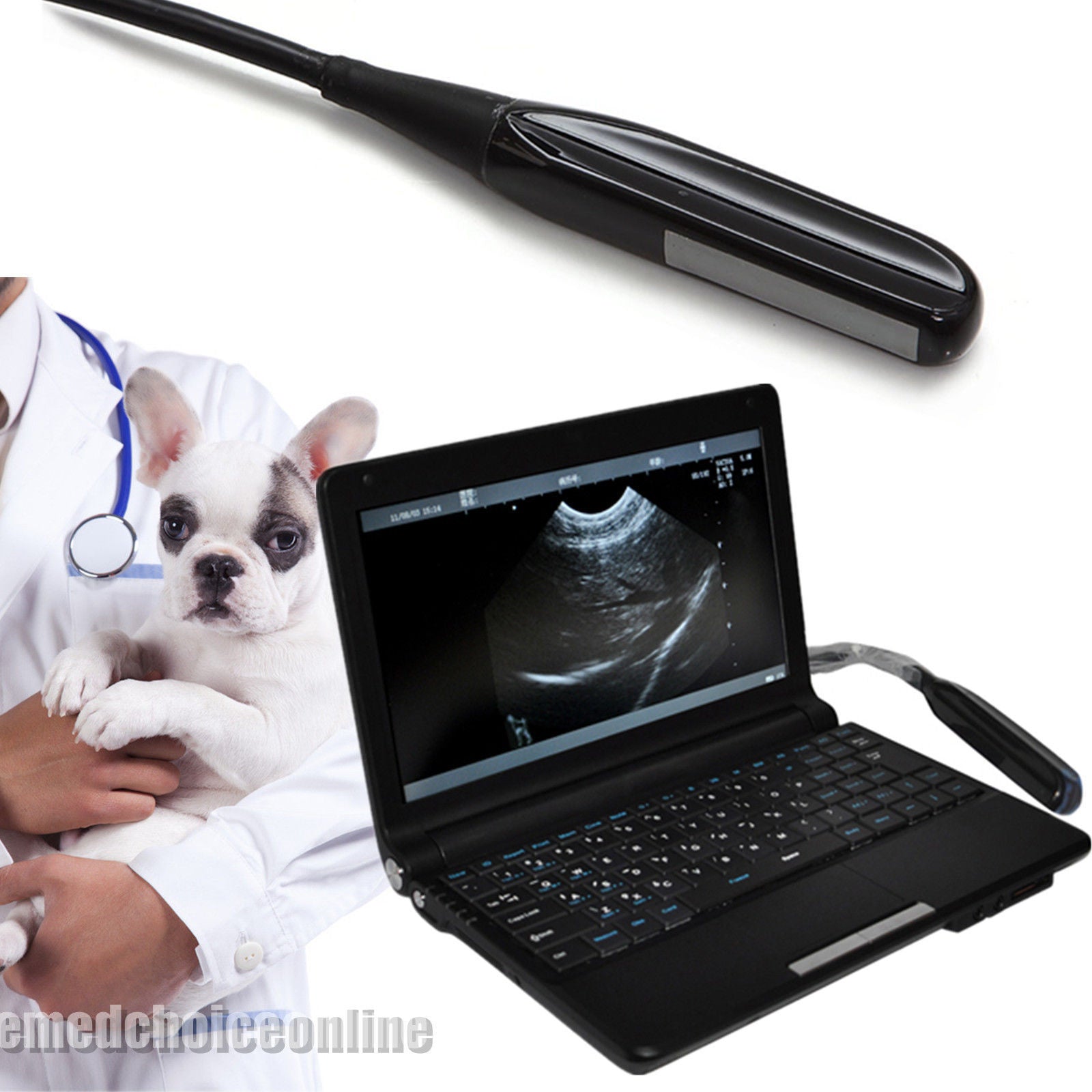 Laptop Veterinary VET Ultrasound Scanner Machine Animal Rectal Probe 3D Software 190891206510 DIAGNOSTIC ULTRASOUND MACHINES FOR SALE