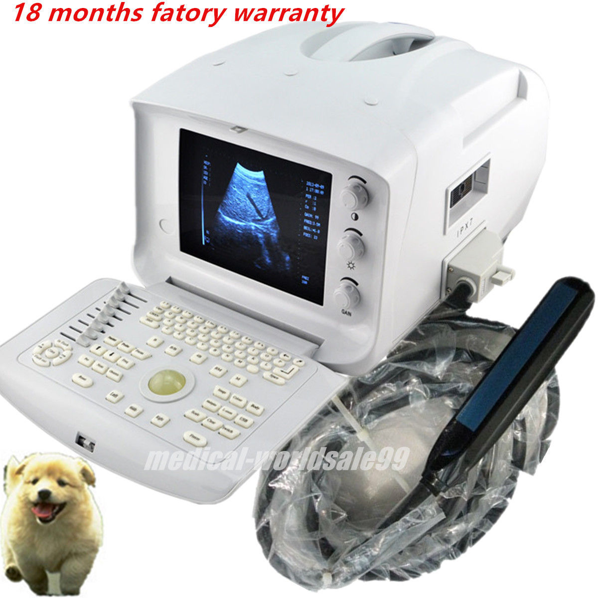Portable B Ultrasound Scanner Diagnostic Machine Micro-convex &Transrectal Probe 190891803658 DIAGNOSTIC ULTRASOUND MACHINES FOR SALE
