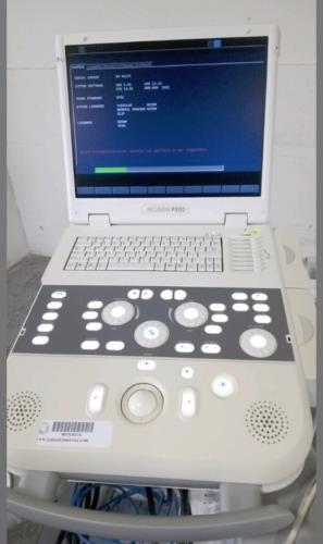 Siemens Acuson P300 Portable Ultrasound Machine With two Probes (LA523, CA431 DIAGNOSTIC ULTRASOUND MACHINES FOR SALE