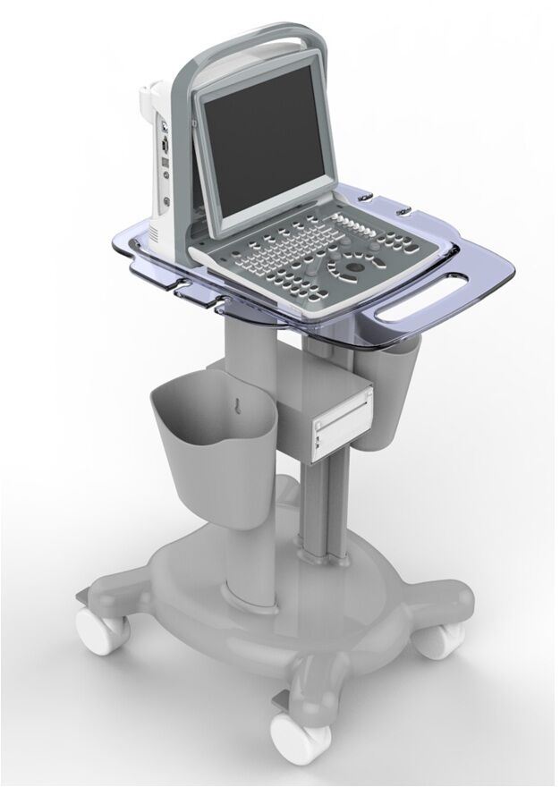 Color Doppler Vascular Ultrasound Scanner with Two Probes, Battery - Chison ECO5 DIAGNOSTIC ULTRASOUND MACHINES FOR SALE