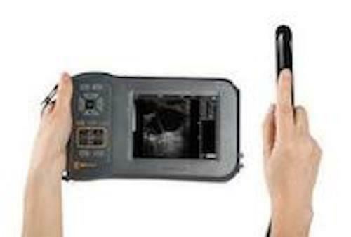 Bovine Veterinary Ultrasound Machine & convex Rectal Probe Low frequency DIAGNOSTIC ULTRASOUND MACHINES FOR SALE