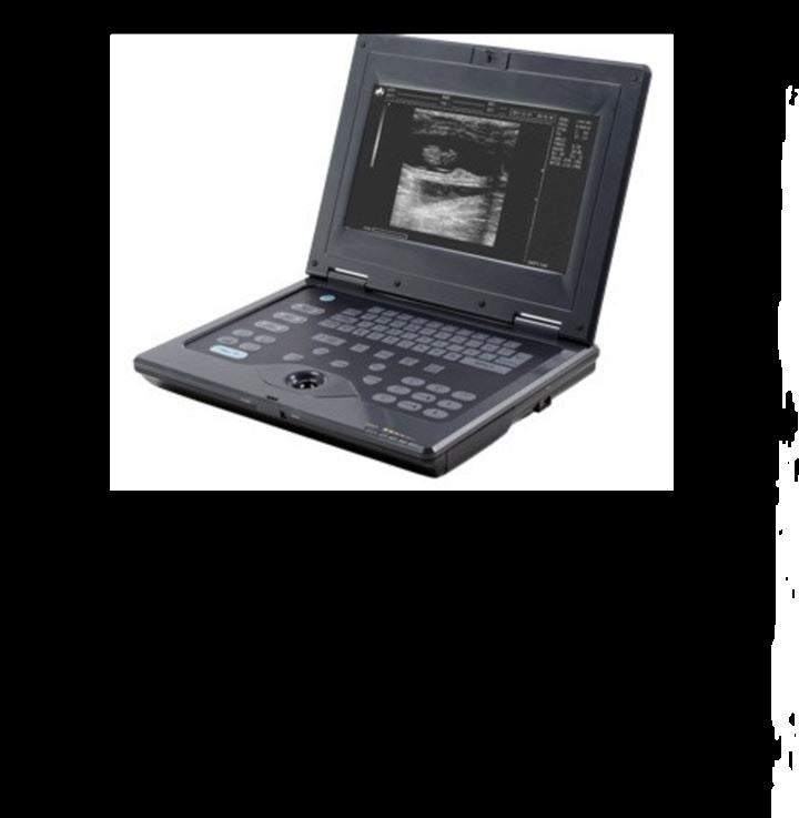 WED-2018V Veterinary Laptop Ultrasound for Bovine, Equine with Rectal Probe DIAGNOSTIC ULTRASOUND MACHINES FOR SALE