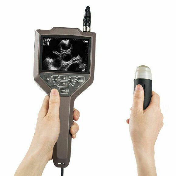 Handheld Veterinary Ultrasound, for Farm Goats, Pigs and Sheep With Sector Probe DIAGNOSTIC ULTRASOUND MACHINES FOR SALE