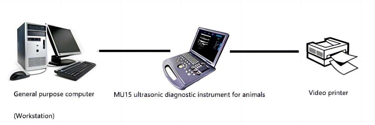 ECO-14Vet High end Equine Ultrasound with Rectal Probe DIAGNOSTIC ULTRASOUND MACHINES FOR SALE