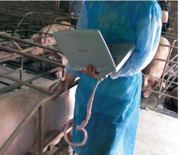 KX5000V Veterinary Laptop Ultrasound-Large Animal-Bovine/Horse- Keebomed DIAGNOSTIC ULTRASOUND MACHINES FOR SALE