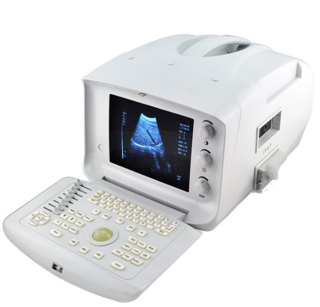 Top Veterinary Vet Ultrasound Scanner Rectal Probe Convex 3D Version Medical CE DIAGNOSTIC ULTRASOUND MACHINES FOR SALE