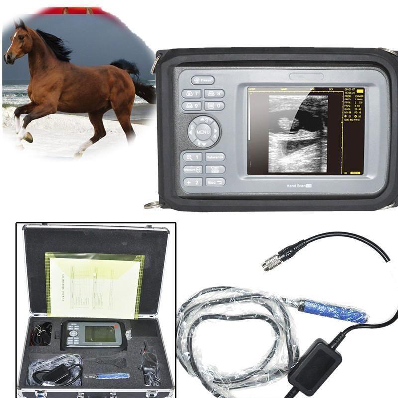 USA Ship Veterinary ultrasound scanner Animals rectal probe Cows VET Horse Cows 190891362155 DIAGNOSTIC ULTRASOUND MACHINES FOR SALE