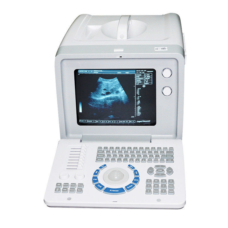 Top 3D Digital Ultrasound Scanner Machine Convex +Transvaginal Probe Pregnancy DIAGNOSTIC ULTRASOUND MACHINES FOR SALE