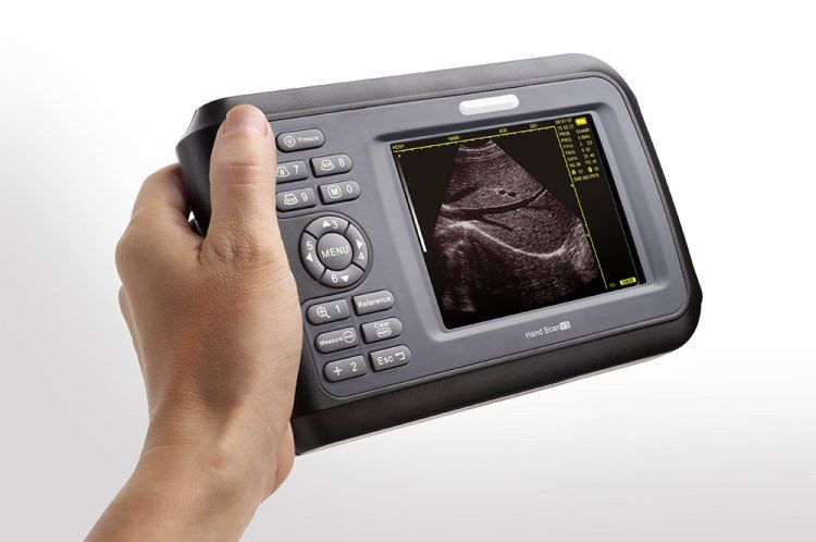 US Veterinary VET handheld Ultrasound Scanner Machine Animal Rectal Probe+ Gift DIAGNOSTIC ULTRASOUND MACHINES FOR SALE