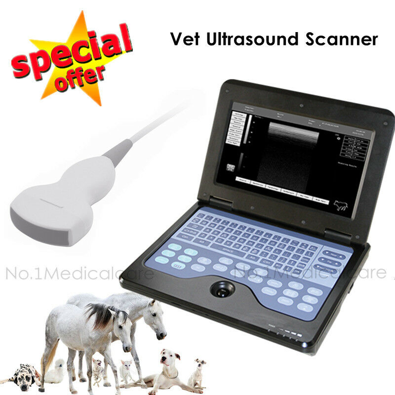 Animal Ultrasound Scanner Digital Laptop Portable VET 3.5 Convex Probe Fedex 658126883672 DIAGNOSTIC ULTRASOUND MACHINES FOR SALE