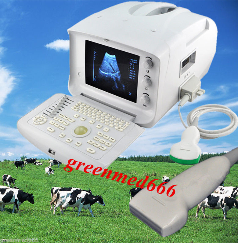 Veterinary Full Digital VET Ultrasound Scanner +Convex & Linear 2 Probes 3D Best 190891690623 DIAGNOSTIC ULTRASOUND MACHINES FOR SALE