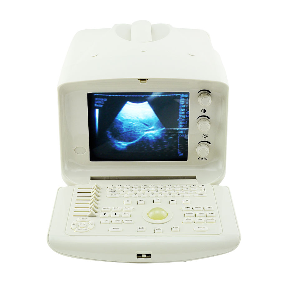 Vet 10.1Inch LCD Ultrasound Scanner System + convex & Rectal probes Veterinary 190891974280 DIAGNOSTIC ULTRASOUND MACHINES FOR SALE