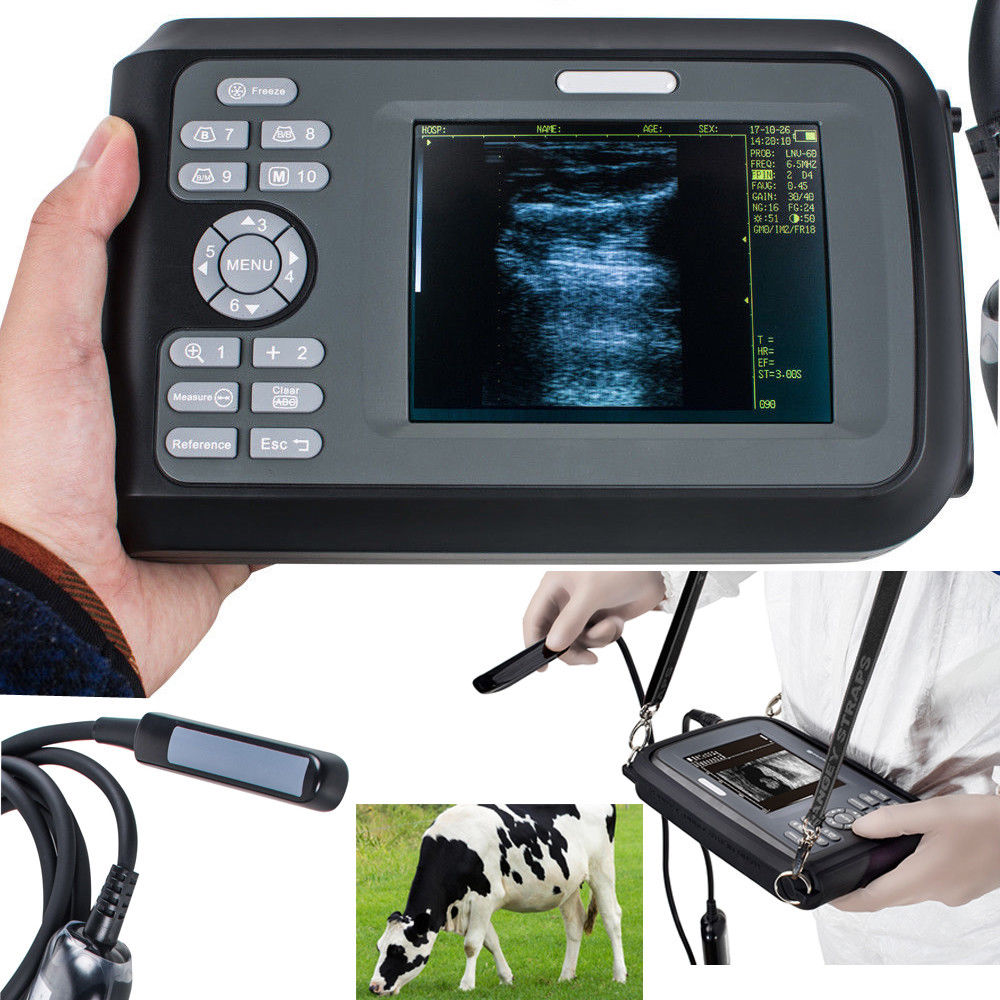 US Veterinary ultrasound scanner Machine Animals Pregnancy Medical Rectal Probe 190891671479 DIAGNOSTIC ULTRASOUND MACHINES FOR SALE