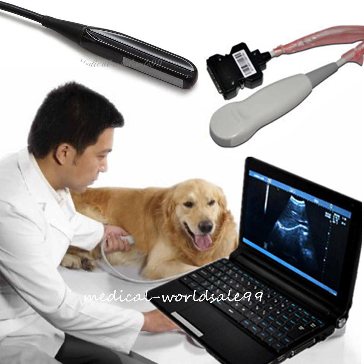 Ultrasound Scanner machine Rectal Probe 3D Laptop Machine Digital Veterinary AA 190891879431 DIAGNOSTIC ULTRASOUND MACHINES FOR SALE