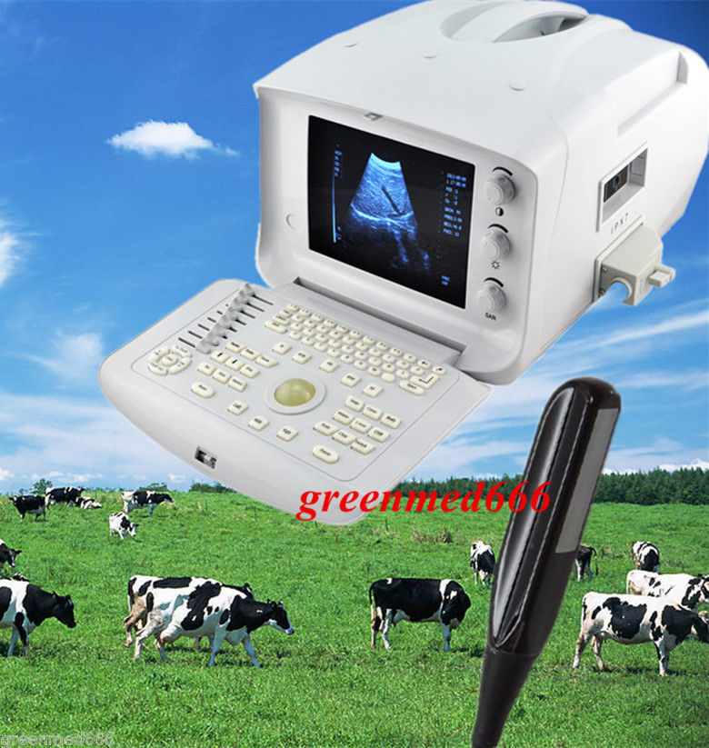 Veterinary Full Digital Ultrasound Scanner +Rectal Probe 3D Animal pregnancy Cow DIAGNOSTIC ULTRASOUND MACHINES FOR SALE