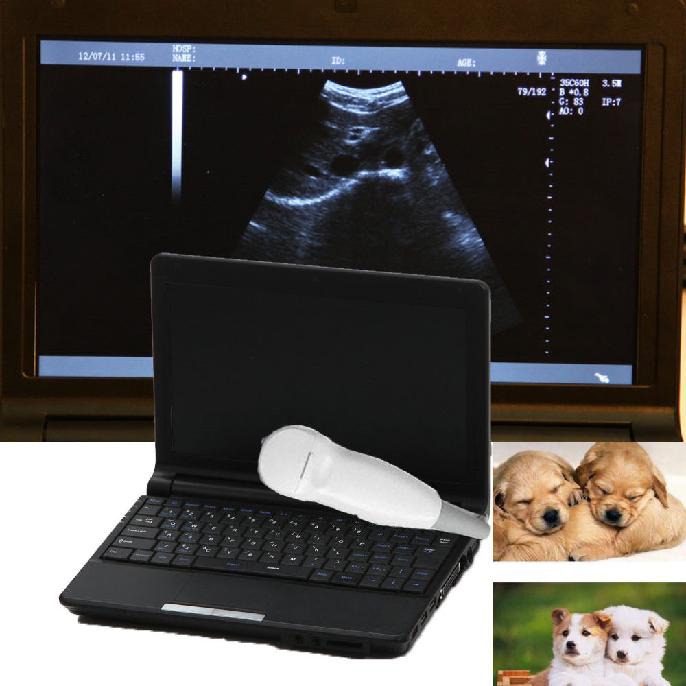 Veterinary vet Full Digital Laptop Ultrasound Scanner Micro-Convex Probe Free 3D 190891712110 DIAGNOSTIC ULTRASOUND MACHINES FOR SALE