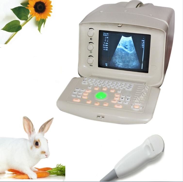 Veterinary B-Ultrasound Scanner/Machine  Micro-convex Array Probe VET/Animals 3D 190891949295 DIAGNOSTIC ULTRASOUND MACHINES FOR SALE