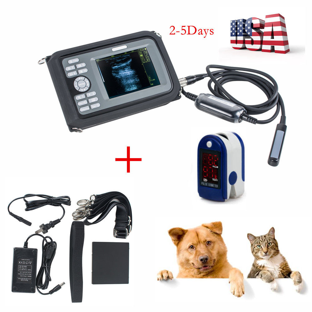 USA Local Vet Digital PalmSmart Ultrasound Scanner With Vet Rectal Probe Gift CE 190891401205 DIAGNOSTIC ULTRASOUND MACHINES FOR SALE