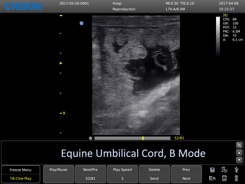 Chison ECO6 Ultrasound w/ 2 Probes and Accredited Veterinary Online Training DIAGNOSTIC ULTRASOUND MACHINES FOR SALE