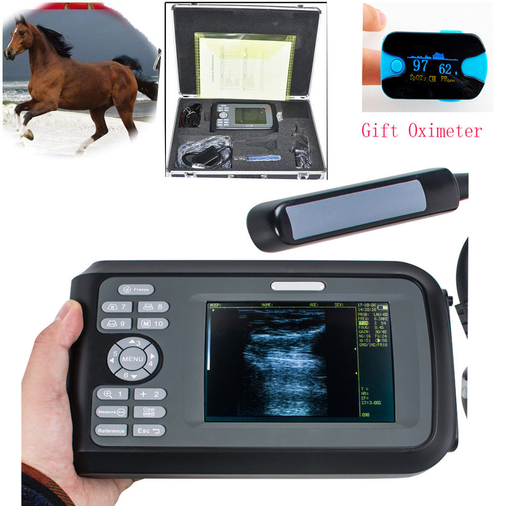 USA! Veterinary Medical VET Ultrasound Scanner Animal Rectal Probe + Oximeter CE 190891057464 DIAGNOSTIC ULTRASOUND MACHINES FOR SALE