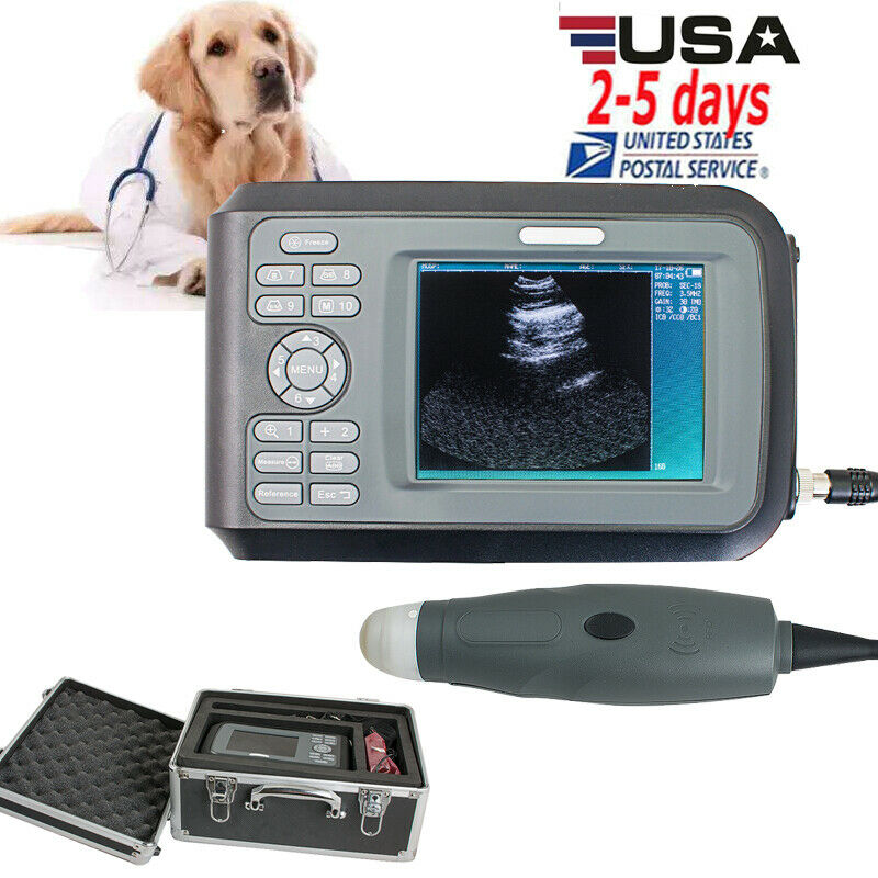 Best Veterinary Handheld Palm Ultrasound Scanner With Sector Probe 3.5MHZ New US DIAGNOSTIC ULTRASOUND MACHINES FOR SALE