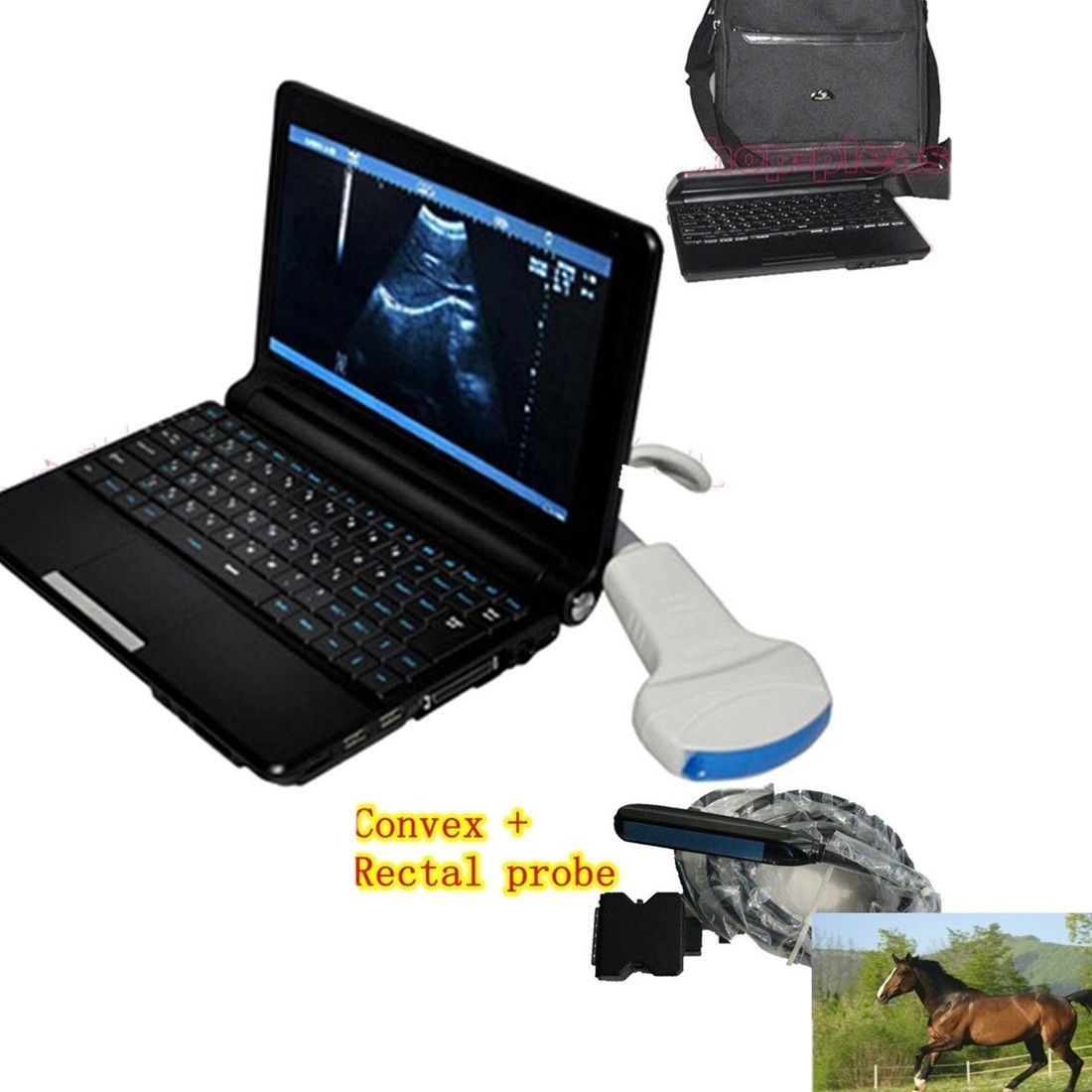 Vet Animal Veterinary Ultrasound Scanner Machine Convex + Rectal Probe 3D Kit A 190891941893 DIAGNOSTIC ULTRASOUND MACHINES FOR SALE