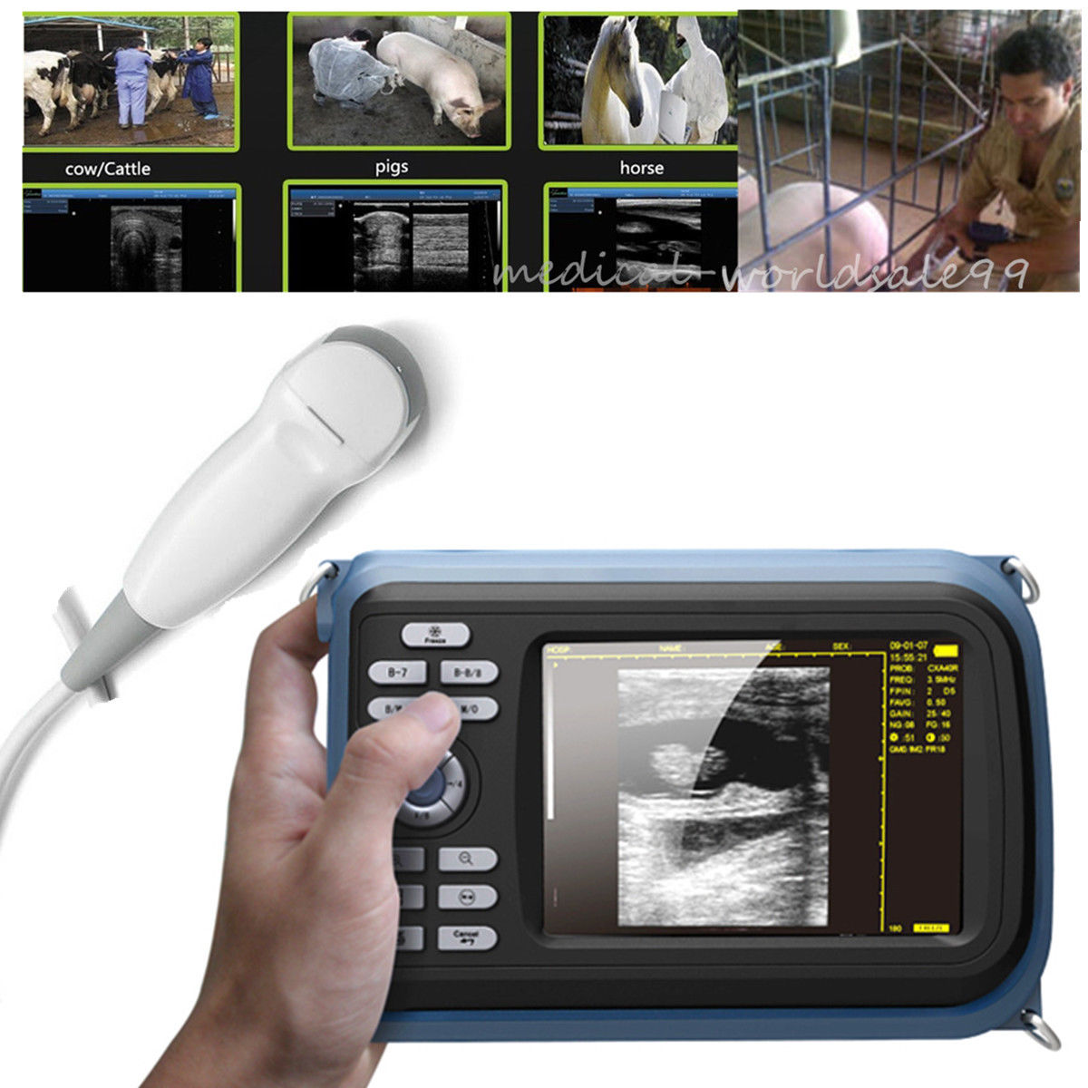 Vet Ultrasound Ultrasonic Scanner Machine Animals Micro-convex Probe Big Sale DIAGNOSTIC ULTRASOUND MACHINES FOR SALE