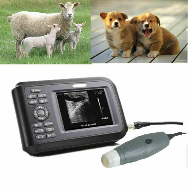 Veterinary Vet Ultrasound Scanner Machine System Kit For Pregnancy Animal Use DIAGNOSTIC ULTRASOUND MACHINES FOR SALE