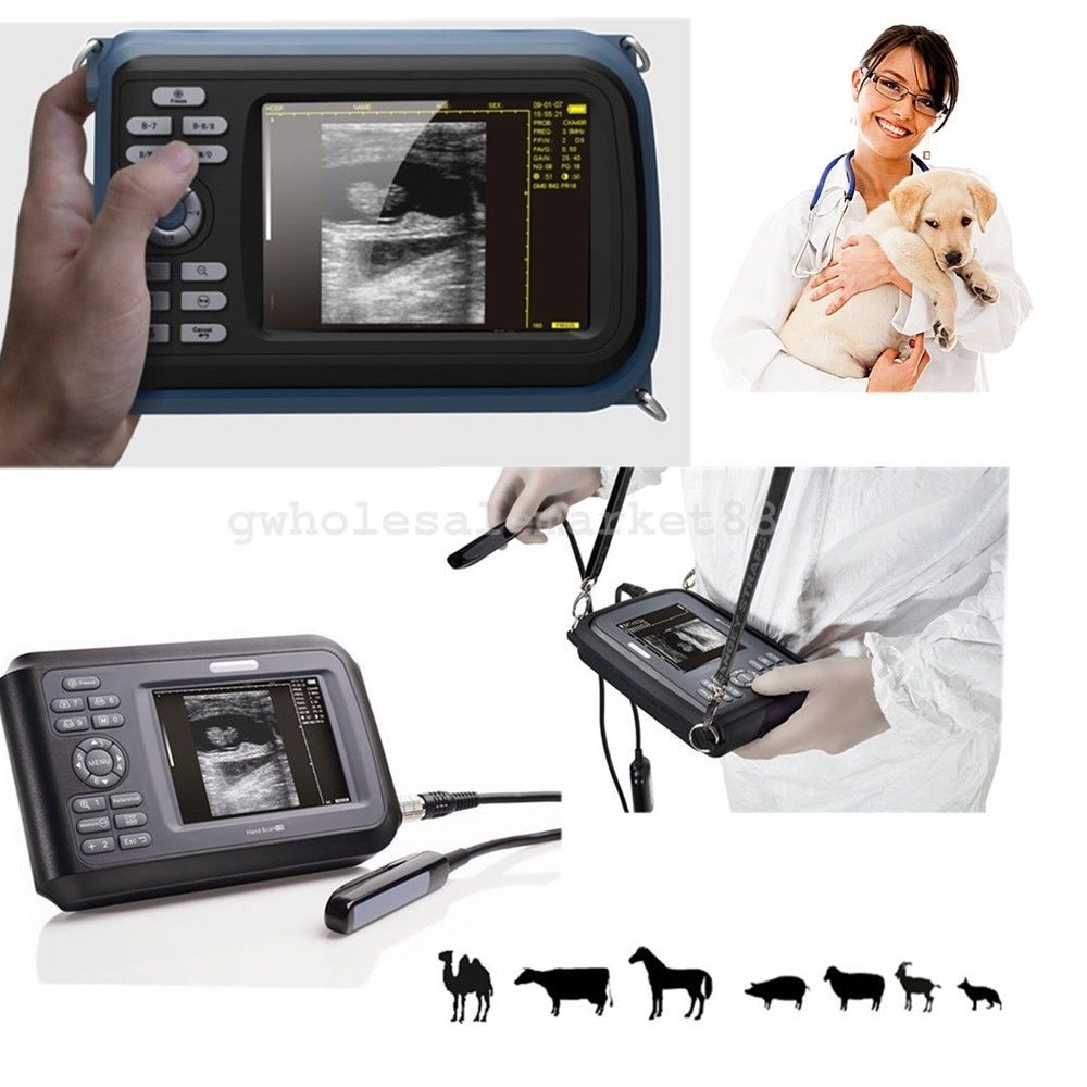 US! Portable Farm Veterinary Animal Ultrasound Machine Scanner 6.5M Rectal Probe DIAGNOSTIC ULTRASOUND MACHINES FOR SALE