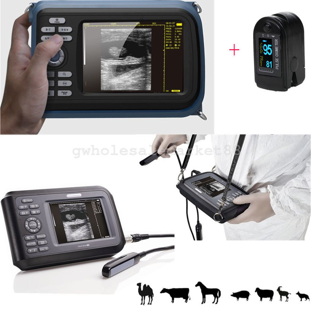 VET Veterinary handheld ultrasound scanner Machine Animal Rectal Probe+ Oximeter 190891055545 DIAGNOSTIC ULTRASOUND MACHINES FOR SALE