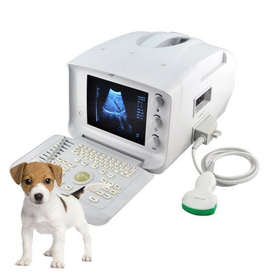 Vet Livestock Ultrasonic Ultrasound Machine 3.5 Mhz Convex Rectal 2 Probe 3D DIAGNOSTIC ULTRASOUND MACHINES FOR SALE