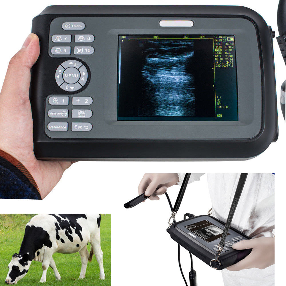 US Veterinary ultrasound scanner Machine Animal Livestock Rectal Probe Horse Cow DIAGNOSTIC ULTRASOUND MACHINES FOR SALE