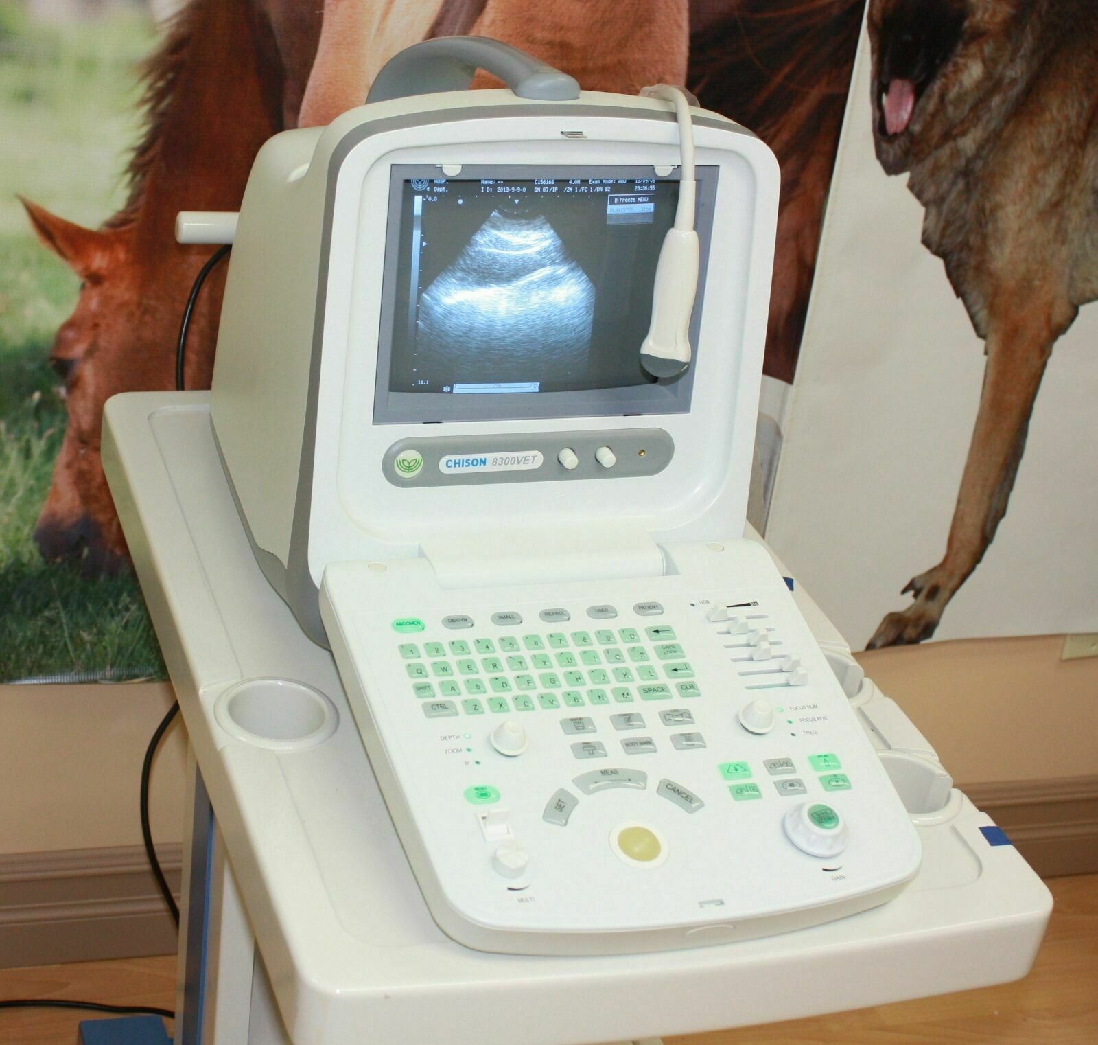 Best Deal Veterinary Ultrasound, Chison 8300Vet, Good Quality, Most Affordable DIAGNOSTIC ULTRASOUND MACHINES FOR SALE