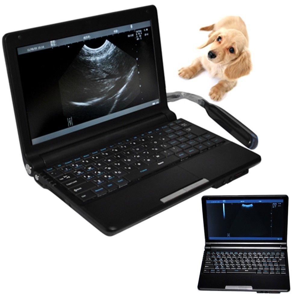 CE Veterinary Animals Laptop Machine Ultrasound Scanner Scan System Rectal Probe DIAGNOSTIC ULTRASOUND MACHINES FOR SALE