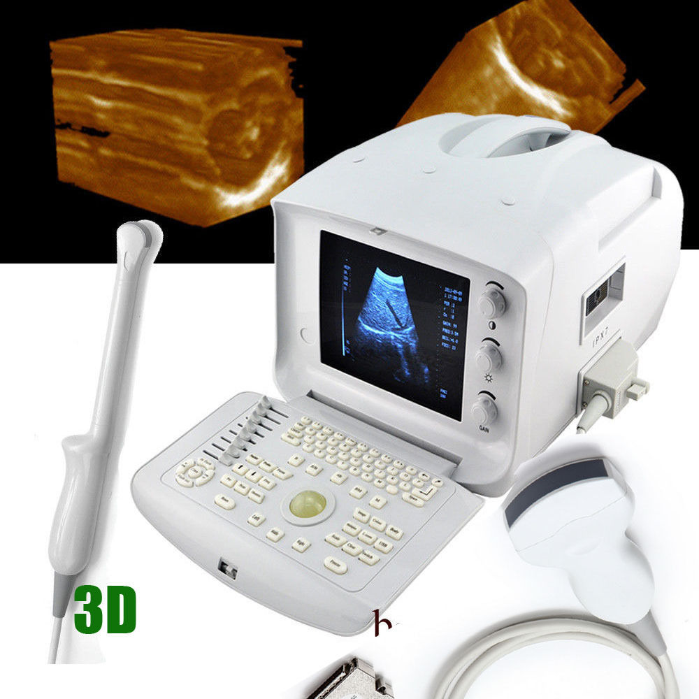 3 d Medical Digital Ultrasound Scanner System Convex/Linear 2 Probes/Transducer 190891484468 DIAGNOSTIC ULTRASOUND MACHINES FOR SALE