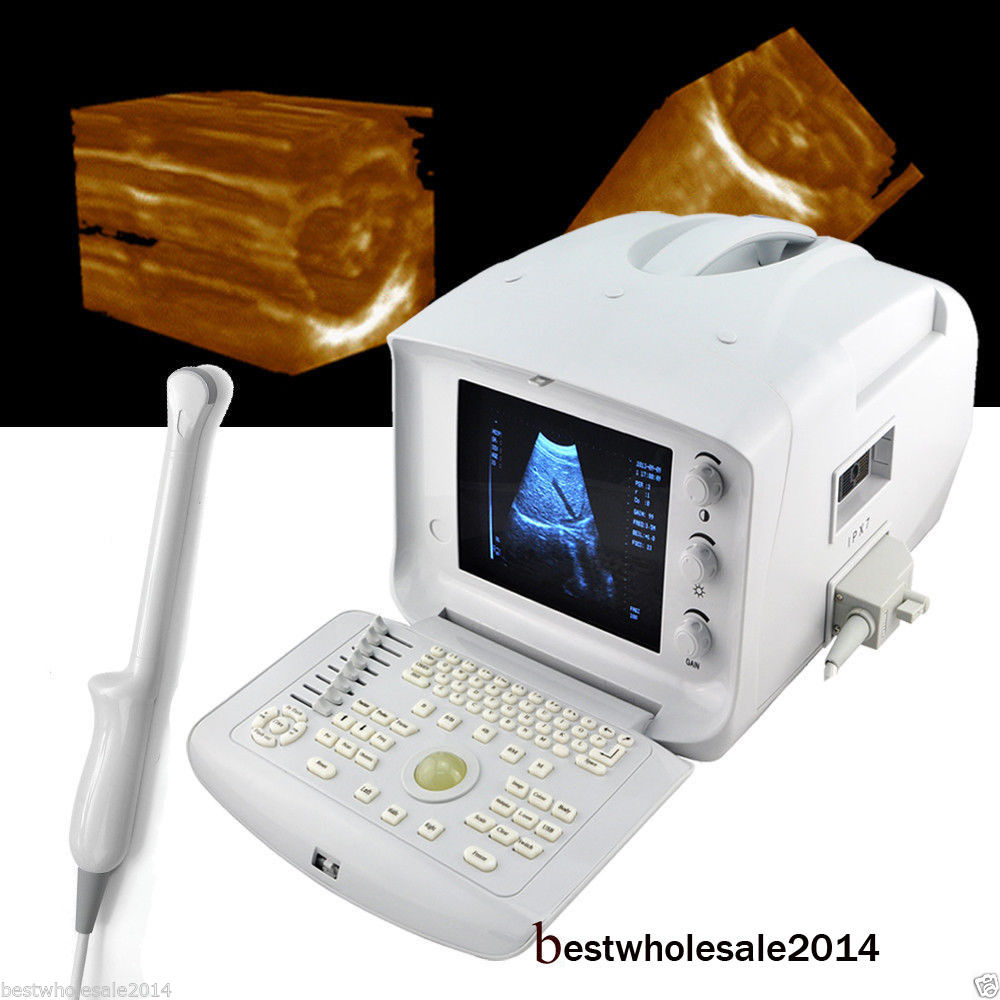 Vet Animal Ultrasound Scanner & Diagnostic Machine+Convex Probe Pregnancy 3D A+ 190891758941 DIAGNOSTIC ULTRASOUND MACHINES FOR SALE