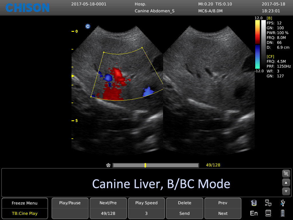 Chison ECO6 Ultrasound w/ 2 Probes and Accredited Veterinary Online Training DIAGNOSTIC ULTRASOUND MACHINES FOR SALE