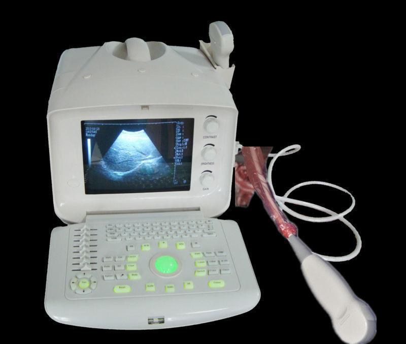 veterinarian B Ultrasound Scanner Machine  Micro-convex Array Probe Animals 3D 190891743565 DIAGNOSTIC ULTRASOUND MACHINES FOR SALE