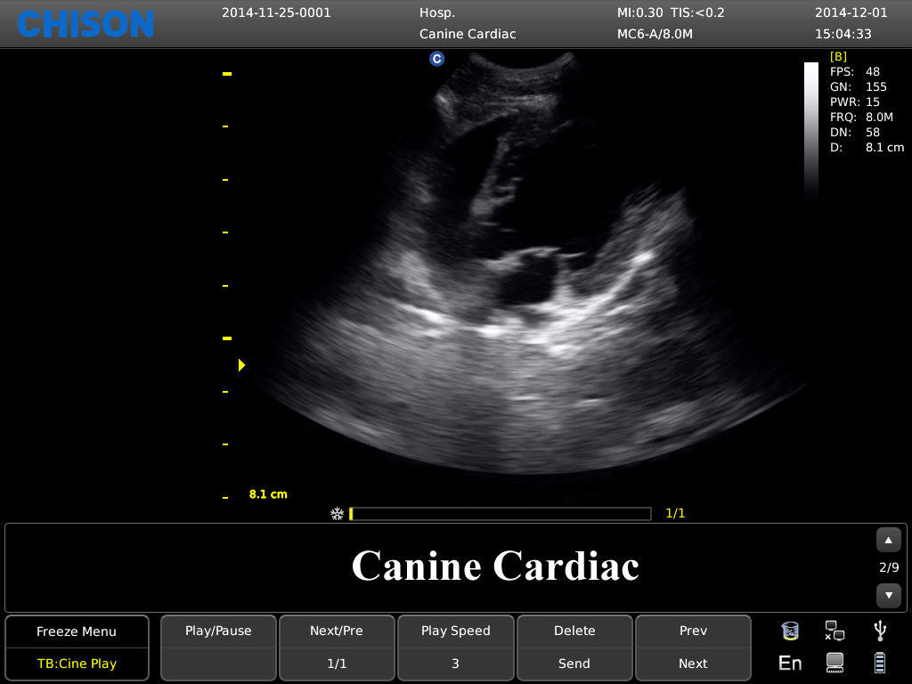 Chison ECO3 Ultrasound w/ 1 Probes and Accredited Veterinary Online Training DIAGNOSTIC ULTRASOUND MACHINES FOR SALE