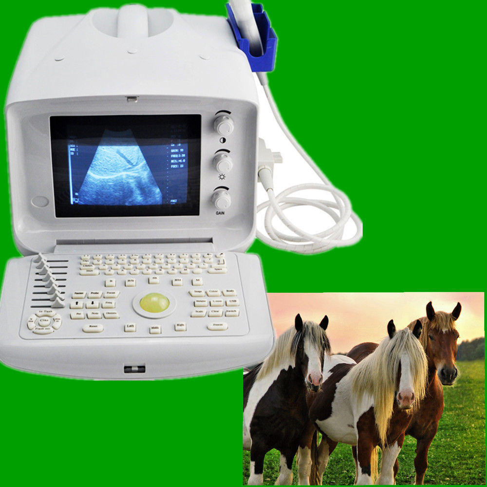 Veterianry Animal Ultrasound Scanner 3.5Mhz Convex Probe+3D abdomen Exam Pet Pig DIAGNOSTIC ULTRASOUND MACHINES FOR SALE