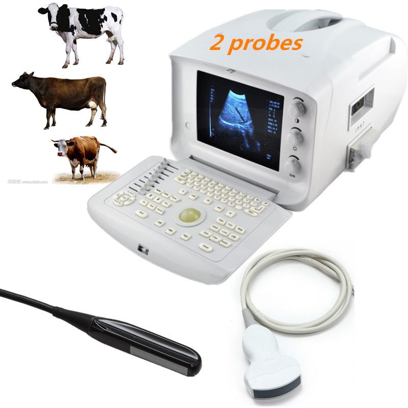 Vet Veterinary Ultrasound Scanner Machine+Rectal Sensor Probe+3D well-care Use 190891799555 DIAGNOSTIC ULTRASOUND MACHINES FOR SALE