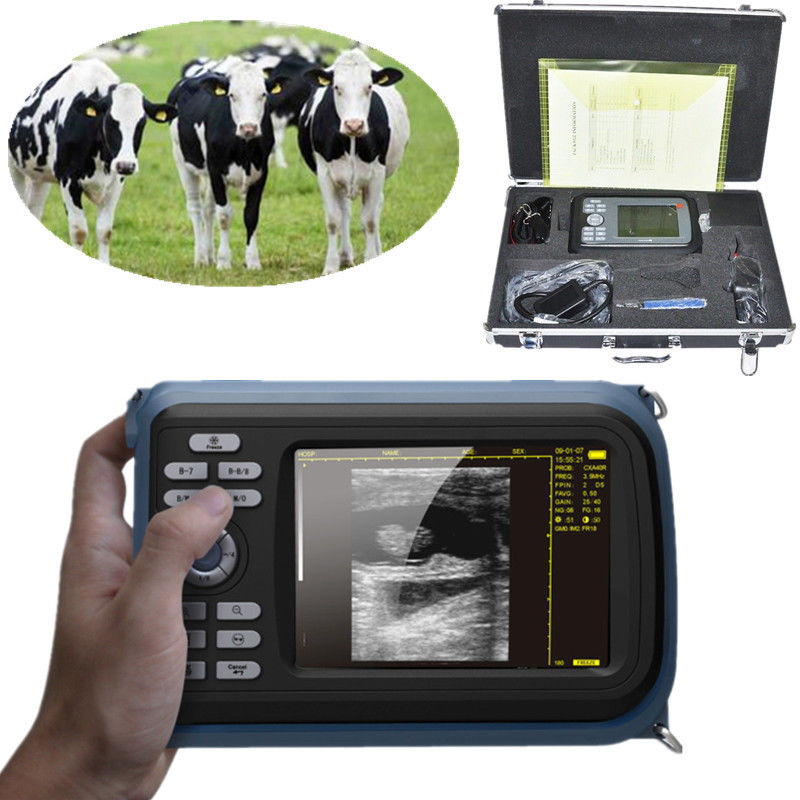 Vet 5.5'' Color Digital PalmSmart Ultrasound Scanner with Rectal Probe Medical DIAGNOSTIC ULTRASOUND MACHINES FOR SALE