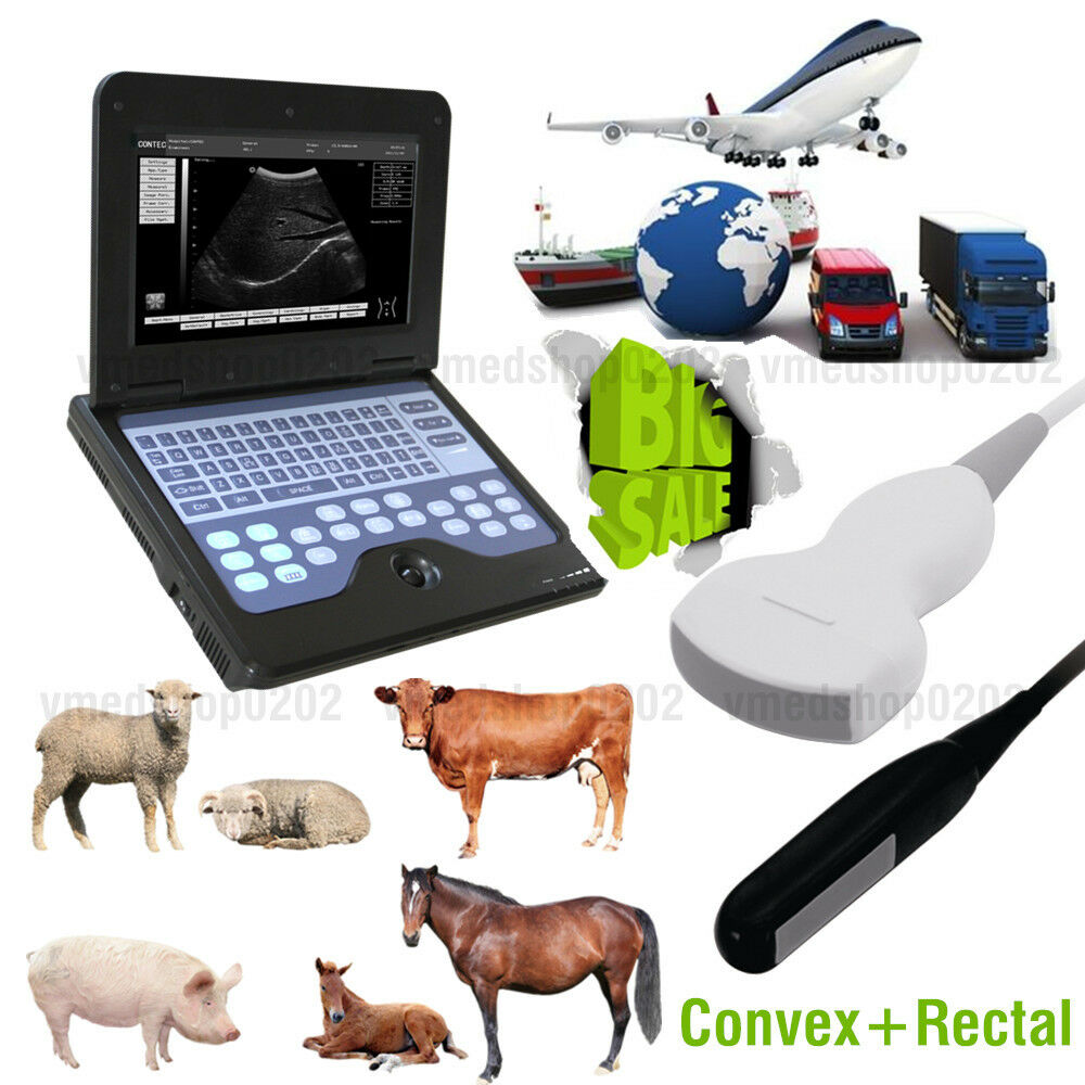 US Digital Veterinary Ultrasound Scanner Portable Laptop Machine,2 Probes Animal 670924011996 DIAGNOSTIC ULTRASOUND MACHINES FOR SALE