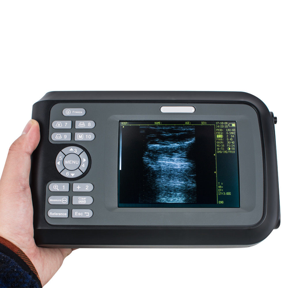 US Veterinary handheld ultrasound scanner cow/horse/Animal Rectal Probe System A DIAGNOSTIC ULTRASOUND MACHINES FOR SALE