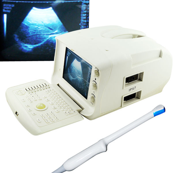 CE Medical Transvaginal Probe,Portable Ultrasound Scanner Machine 3D Workstation DIAGNOSTIC ULTRASOUND MACHINES FOR SALE