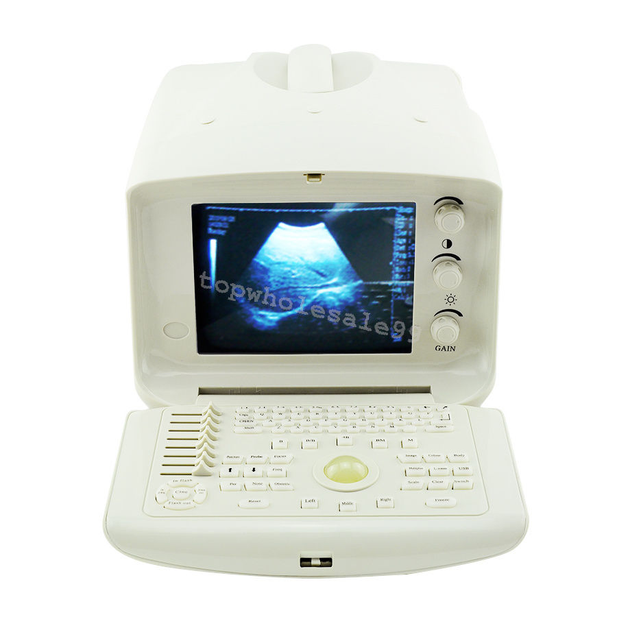 CE Veterinary Ultrasound Scanner,Convex,Rectal,Linear,probe,3D,Terminal Printer 190891975034 DIAGNOSTIC ULTRASOUND MACHINES FOR SALE